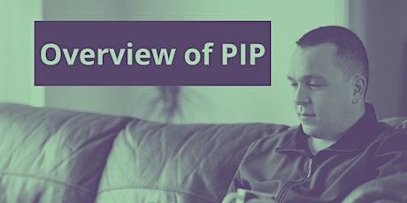 Overview of PIP - Training