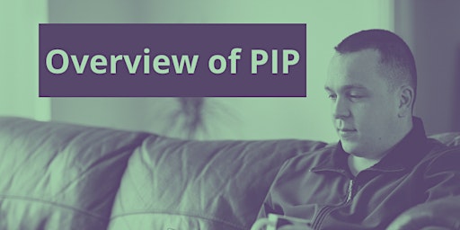 Imagen principal de Overview of PIP - Training