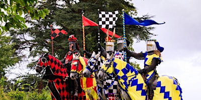 Immagine principale di BSL Hever Castle Jousting & Falconry with Amsaan Tours 