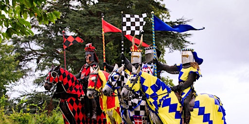 Immagine principale di BSL Hever Castle Jousting & Falconry with Amsaan Tours 