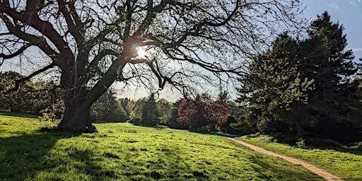 Hauptbild für Oldbury Court Estate: Walk on the Wildside with Steve England.