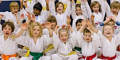 Children's martial arts classes - free taster lesson primary image