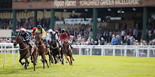 OSC Ripon Races Day primary image