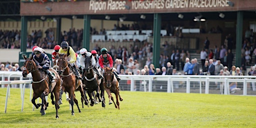 Immagine principale di OSC Ripon Races Day 