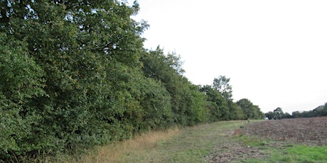 National Hedgerow Week - free guided farmland walk