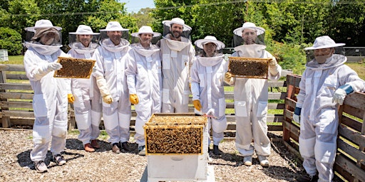 Primaire afbeelding van Beekeeping - Flow Hive Fun
