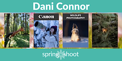 Primaire afbeelding van Dani Connor, From Squirrels to Eagles: how to get the perfect shot