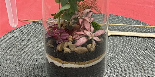 Imagem principal do evento Closed terrarium making workshop