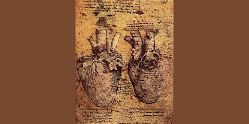 Art at the heart of Leonardo da Vinci's anatomical studies  primärbild