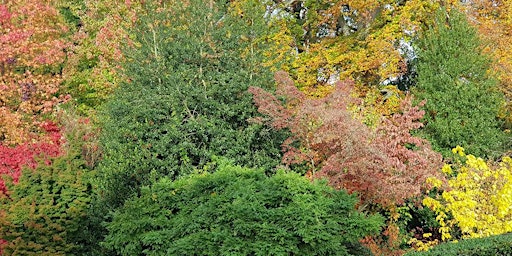 Visite des jardins La Lisière