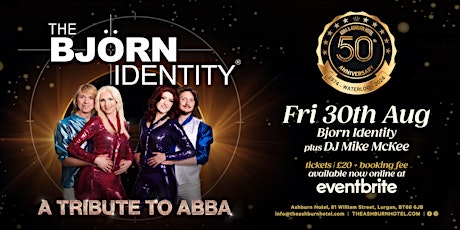 The Bjorn Identity - A Tribute To ABBA