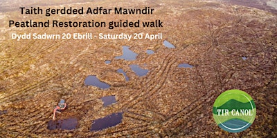 Imagem principal do evento Taith gerdded Adfer Mawndir - Peatland Restoration guided walk