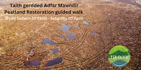 Taith gerdded Adfer Mawndir - Peatland Restoration guided walk