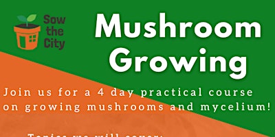 Imagem principal do evento Comprehensive Mushroom Growing course