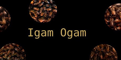 Igam Ogam/Waggle Dance - Celebrating World Bee Day