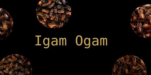 Imagem principal de Igam Ogam/Waggle Dance - Celebrating World Bee Day