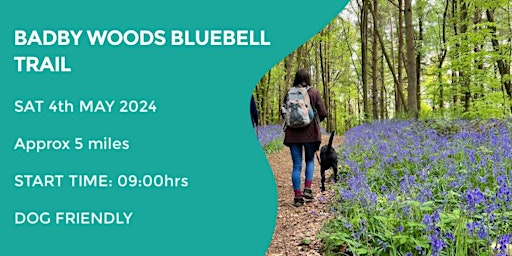 BADBY WOODS BLUEBELL WALK | 5 MILES | MODERATE | NORTHANTS