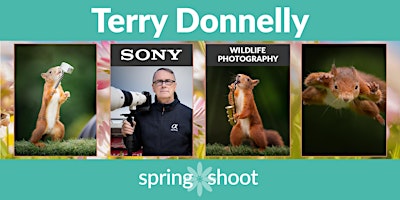 Imagem principal do evento Terry Donnelly,Photography to highlight species decline of the Red Squirrel