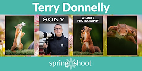 Terry Donnelly,Photography to highlight species decline of the Red Squirrel