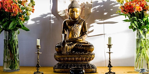 Imagen principal de Basic Meditation
