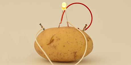 Imagen principal de Learn How to Create a Potato Battery!