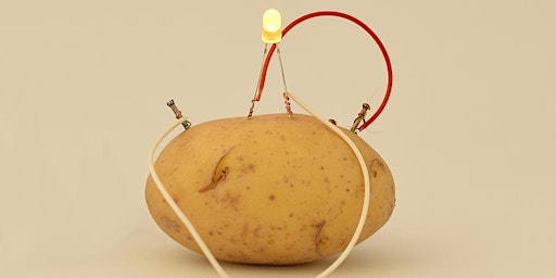 Imagem principal do evento Learn How to Create a Potato Battery!