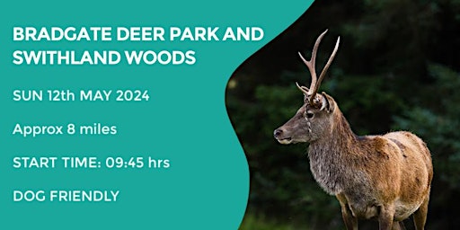 Imagem principal do evento BRADGATE DEER PARK & SWITHLAND WOODS WALK | 7 MILES | MODERATE