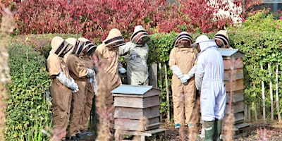 Primaire afbeelding van Birmingham Business Park Meet the Bees