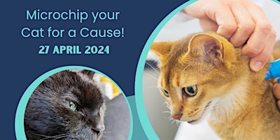 Primaire afbeelding van Purrfect Protection: Microchip your Cat for a Cause