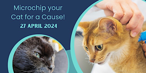 Hauptbild für Purrfect Protection: Microchip your Cat for a Cause