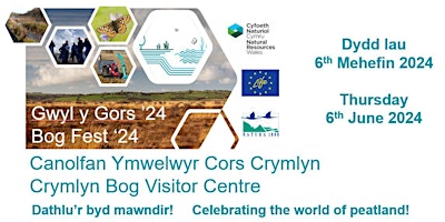 Gŵyl y Gors / Bog Fest 2024 - Canolfan Ymwelwyr Crymlyn Visitor Centre  primärbild