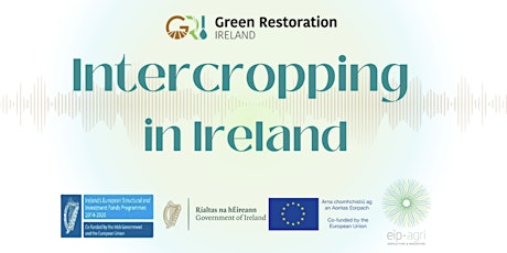 Intercropping in Ireland