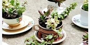 Upcycled Tea Cup, Pot & Pitcher Succulent Planter Workshop primary image