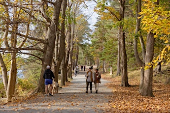 Explore Point Pleasant Park during Earth Fest