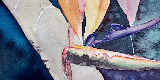 Watercolor: Bird of Paradise primary image
