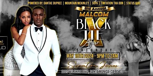 Primaire afbeelding van 3rd Annual Malcom X Black Tie Affair