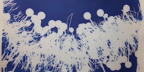 Cyanotype workshop