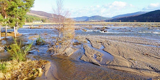 Waders, wildfowl and working with nature