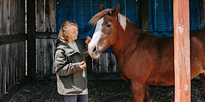 Imagem principal do evento Mom & Daughter Equine Night (Age 12+)