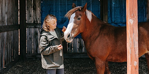 Imagen principal de Mom & Daughter Equine Night (Age 12+)