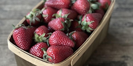 Preserving Your Strawberry Harvest- Asheville