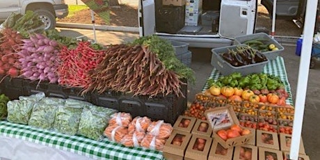 SNAP and Food Security Forum