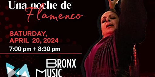 Primaire afbeelding van Una Noche de Flamenco