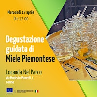 Image principale de Degustazione guidata di miele piemontese