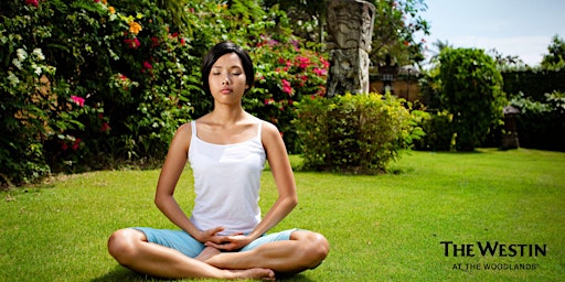 Primaire afbeelding van National Garden Meditation Day