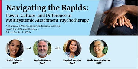 Navigating the Rapids: Power, Culture, and Difference in Family Therapy