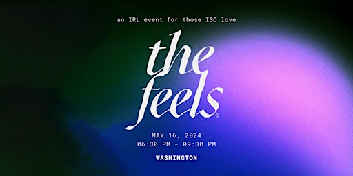 Primaire afbeelding van The Feels DC ed 8: a mindful singles dating event in Washington DC