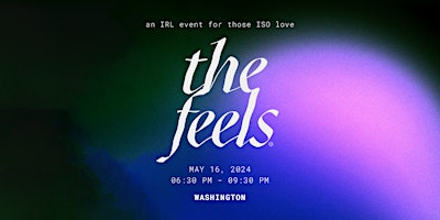 Primaire afbeelding van The Feels DC ed 8: a mindful singles dating event in Washington DC