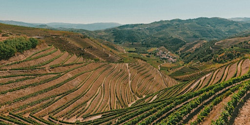 Sky High: Mountain Wines  primärbild