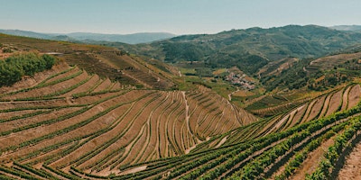 Hauptbild für Sky High: Mountain Wines